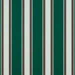 Forest Green Fancy Stripe - 4790 - Square